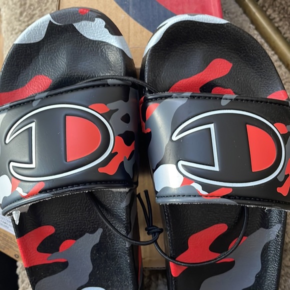Champion Slides - Picture 2 of 3